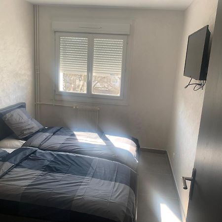 F3 Appartement 2 Chambre Un Salon Avec Wifi Saint-Jean-de-la-Ruelle Eksteriør billede